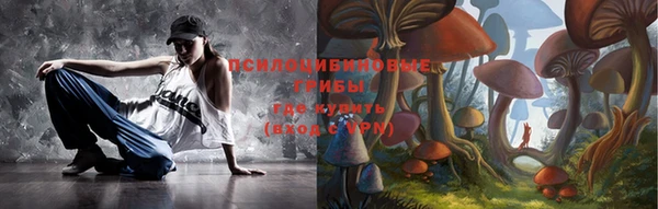 дживик Дмитриев