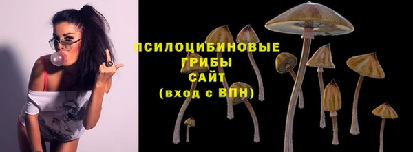 MDMA Дмитров