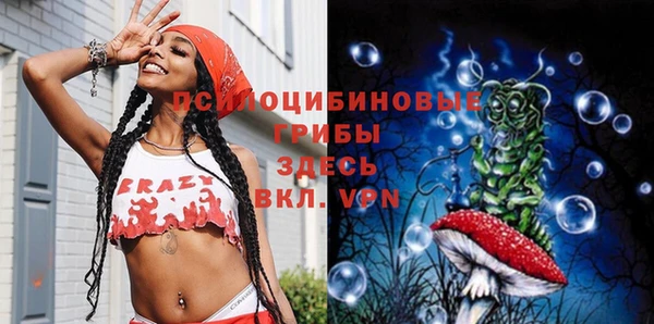 дживик Дмитриев