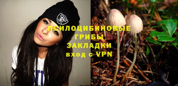 дживик Дмитриев