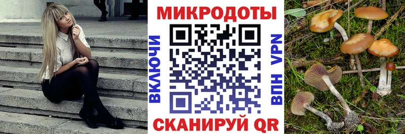 Купить где Заволжье Галлюциногенные грибы прущие грибы